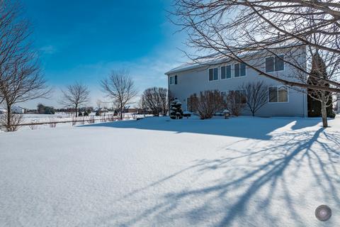 3631 Blake St, Plano, IL 60545 photo 39