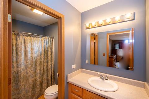38407 N 3rd Ave, Spring Grove, IL 60081 photo 13