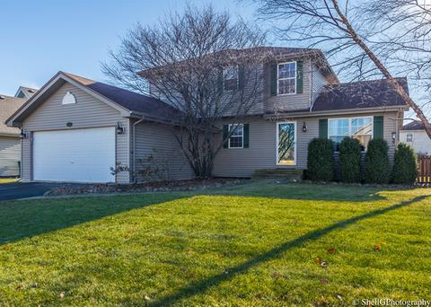 4508 Oriole Ln, Plainfield, IL 60586 photo 1