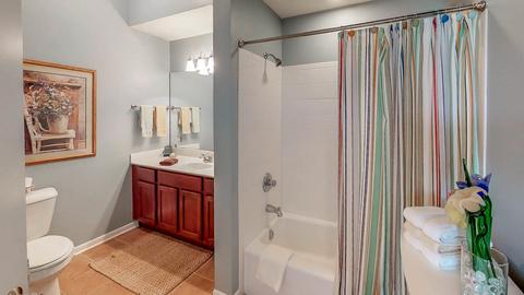 16643 S Fox Run Cir, Plainfield, IL 60586 photo 20