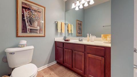 16643 S Fox Run Cir, Plainfield, IL 60586 photo 21