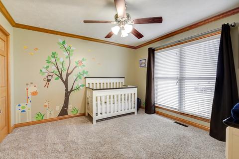 1 Nicky Dr, Mansfield, IL 61854 photo 17