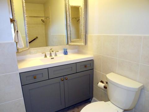 20346 Hellenic Dr, Olympia Fields, IL 60461 photo 19