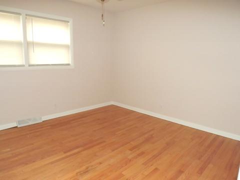 20346 Hellenic Dr, Olympia Fields, IL 60461 photo 20
