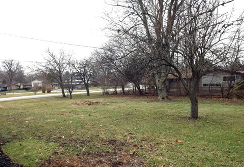 20346 Hellenic Dr, Olympia Fields, IL 60461 photo 30