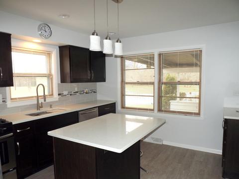20346 Hellenic Dr, Olympia Fields, IL 60461 photo 6