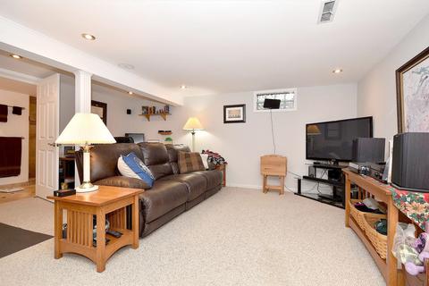 219 E 3rd St, Elmhurst, IL 60126 photo 20