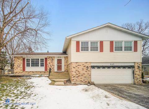 645 Clearview Ct, Algonquin, IL 60102 photo 1