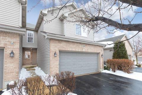 1428 Mackenzie Ln, Elgin, IL 60120 photo 1