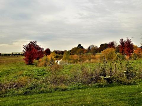 1582 Elder Dr, Aurora, IL 60506 photo 44