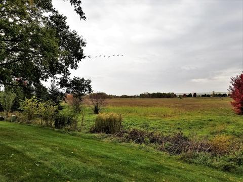 1582 Elder Dr, Aurora, IL 60506 photo 45