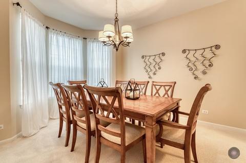 12943 Parterre Pl, Plainfield, IL 60585 photo 4