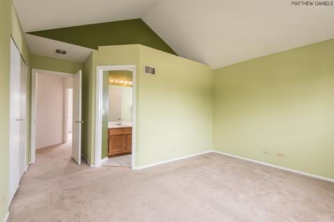 1393 Newcastle Ct, Bartlett, IL 60103 photo 20