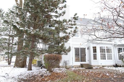 4787 Amber Cir, Hoffman Estates, IL 60192 photo 12