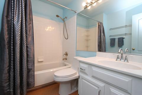4787 Amber Cir, Hoffman Estates, IL 60192 photo 9