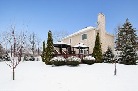 740 Pickwick Ct, Algonquin, IL 60102 photo 16