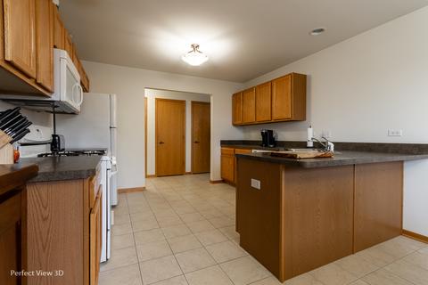 1529 Sawgrass Ln, Beecher, IL 60401 photo 13