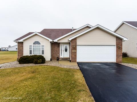 1529 Sawgrass Ln, Beecher, IL 60401 photo 1
