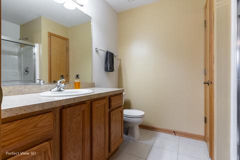 1529 Sawgrass Ln, Beecher, IL 60401 photo 18