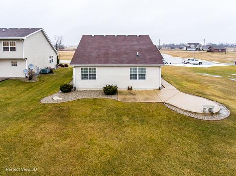 1529 Sawgrass Ln, Beecher, IL 60401 photo 4