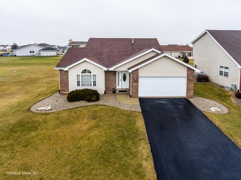 1529 Sawgrass Ln, Beecher, IL 60401 photo 2