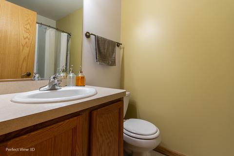1529 Sawgrass Ln, Beecher, IL 60401 photo 21