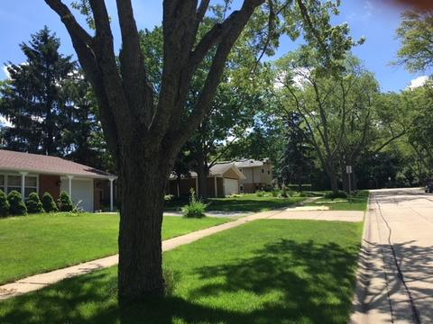 1645 Pierce Rd, Hoffman Estates, IL 60169 photo 22