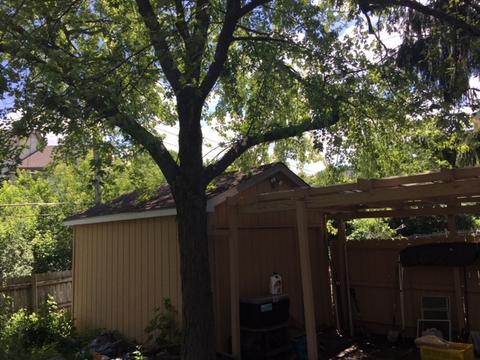 1645 Pierce Rd, Hoffman Estates, IL 60169 photo 17