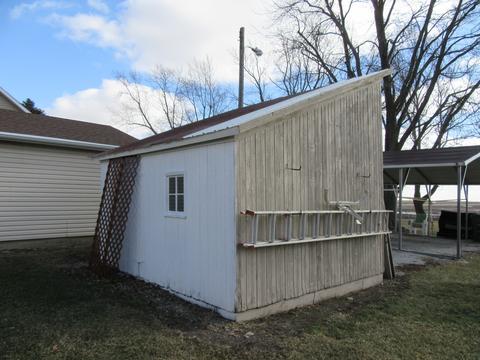 217 S Central St, Danforth, IL 60930 photo 37
