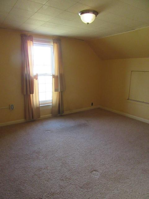 217 S Central St, Danforth, IL 60930 photo 21