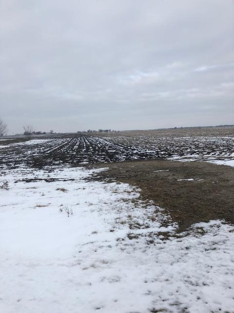 4895 Bell Rd, Minooka, IL 60447 photo 3