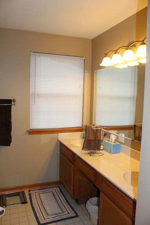 2116 W Adobe Dr, Addison, IL 60101 photo 19