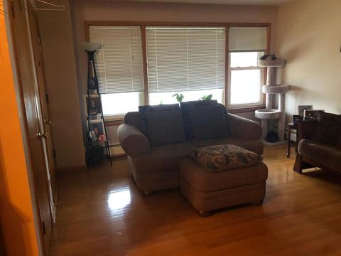 3805 Scoville Ave, Berwyn, IL 60402 photo 13