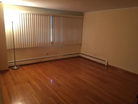 3805 Scoville Ave, Berwyn, IL 60402 photo 18