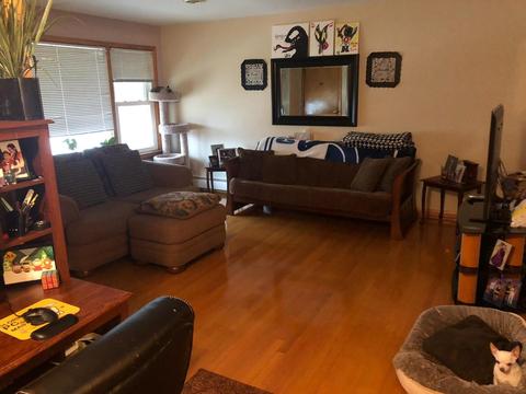 3805 Scoville Ave, Berwyn, IL 60402 photo 14