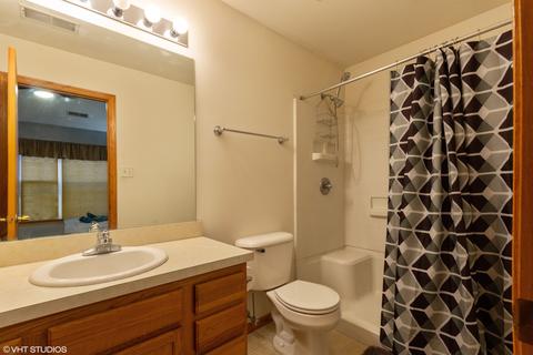 3533 Silver Leaf Dr, Joliet, IL 60431 photo 9