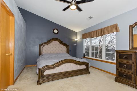 3533 Silver Leaf Dr, Joliet, IL 60431 photo 8