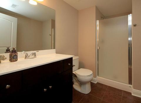 26432 Silverleaf Dr, Plainfield, IL 60585 photo 25
