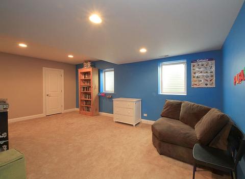 26432 Silverleaf Dr, Plainfield, IL 60585 photo 22