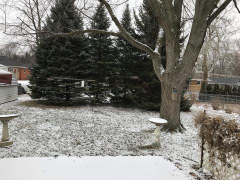 712 S Cottage Ave, Normal, IL 61761 photo 5