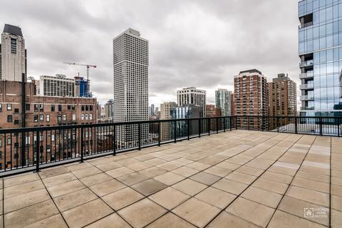 30 Elm St #18F, Chicago, IL 60611 photo 13