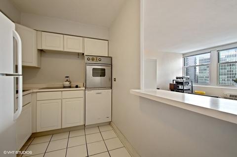 30 Elm St #18F, Chicago, IL 60611 photo 7