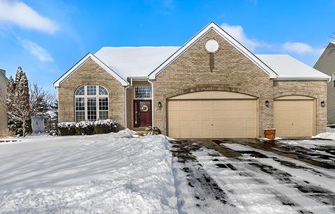 234 Remington Dr, Bartlett, IL 60103 photo 1