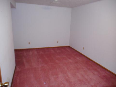 1204 Nicki Dr, Bloomington, IL 61704 photo 21