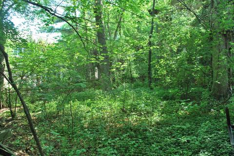839 Bluff St, Glencoe, IL 60022 photo 15
