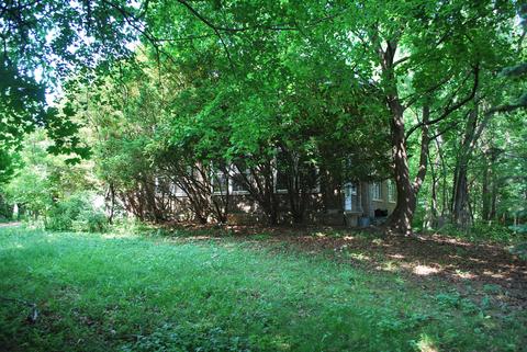 839 Bluff St, Glencoe, IL 60022 photo 9