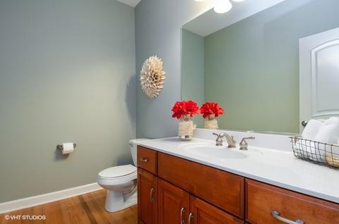 13042 Skyline Dr, Plainfield, IL 60585 photo 12