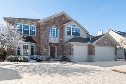 13042 Skyline Dr, Plainfield, IL 60585 photo 1
