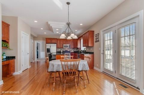 13042 Skyline Dr, Plainfield, IL 60585 photo 8