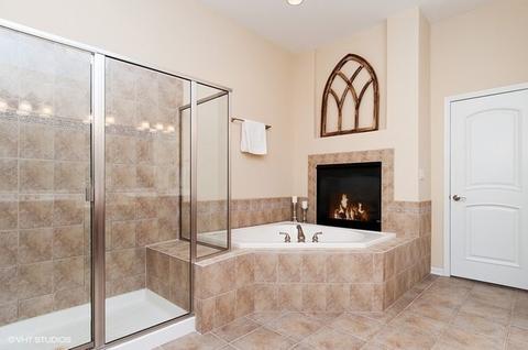 13042 Skyline Dr, Plainfield, IL 60585 photo 17